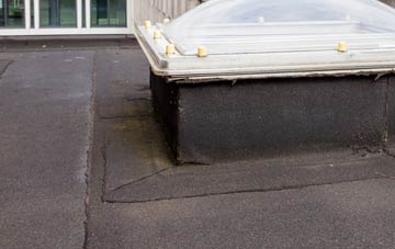 disadvantages of Careby flat roofs