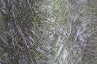 Careby fibreglass roof work